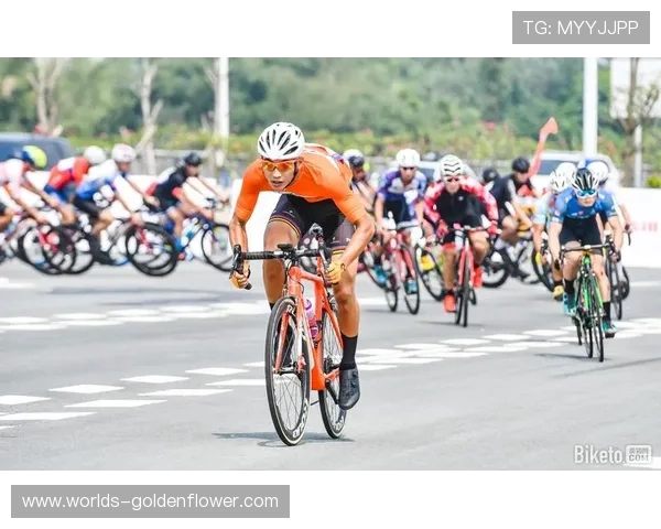 车手马泽全出战金湾公开赛:大湾区赛场的常胜将军